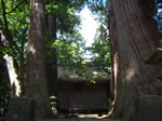 下馬渡 熊野神社の森2