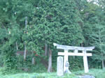 経沢 守屋神社の森1