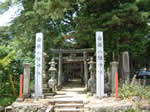 西田面 白幡神社の森1