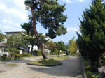 西栄町公園1