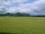 田園風景5