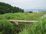 湊町一本橋1