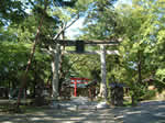 蚕養国神社5