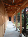 蚕養国神社20