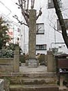 北区JR埼京線板橋駅東口そばの墓碑