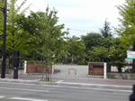 咬1